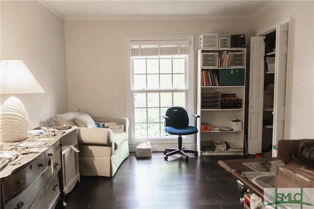 sitting room featuring dark hardwood / wood-style floors and crown molding