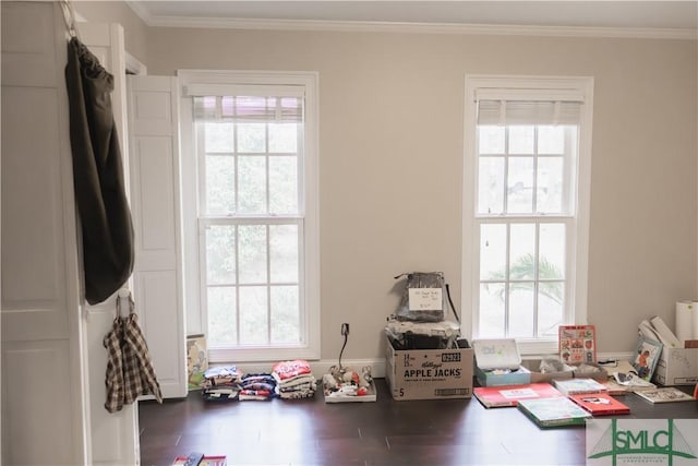 game room featuring crown molding and dark wood-type flooring