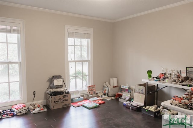 miscellaneous room with a wealth of natural light, crown molding, and dark wood-type flooring