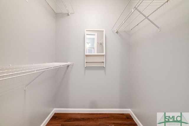 walk in closet featuring hardwood / wood-style flooring