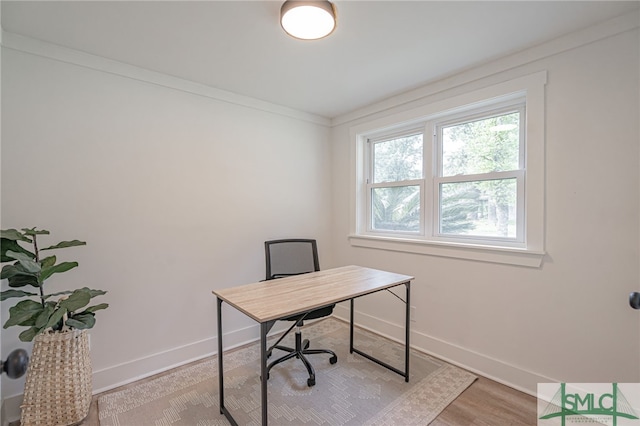 office space with light hardwood / wood-style flooring and ornamental molding