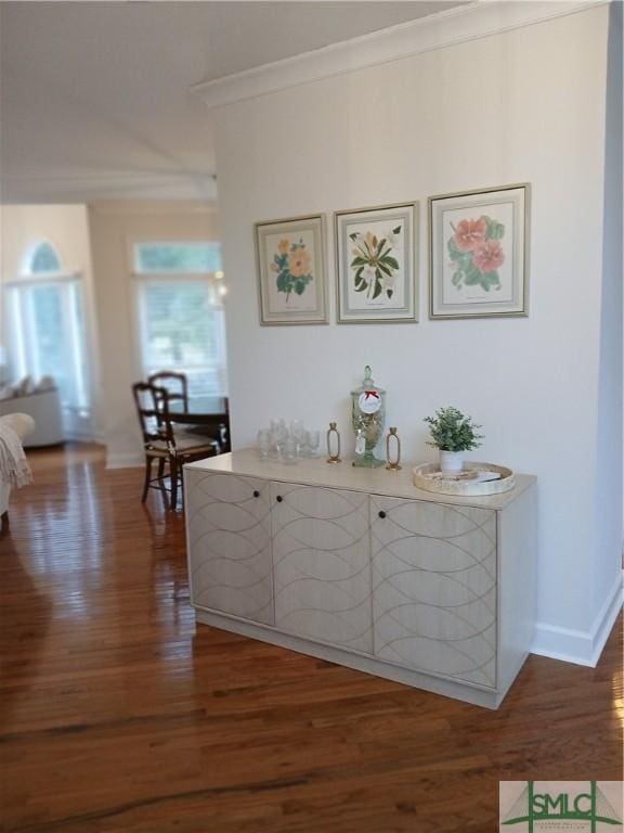 hallway featuring crown molding and dark wood-type flooring