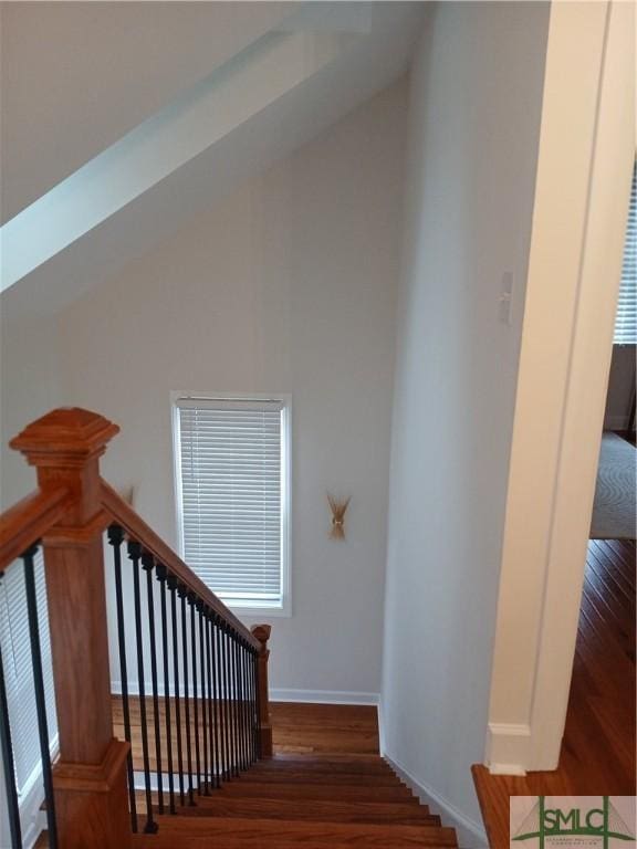 stairs with hardwood / wood-style flooring