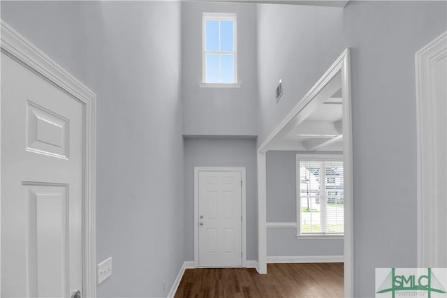 entryway featuring hardwood / wood-style floors