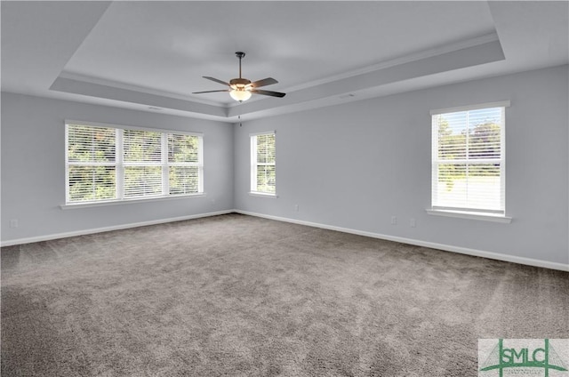 carpeted spare room with a tray ceiling and a wealth of natural light