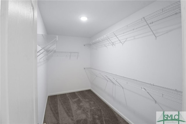 spacious closet featuring dark colored carpet