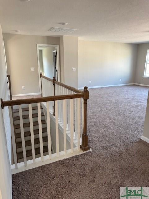 stairway featuring carpet floors