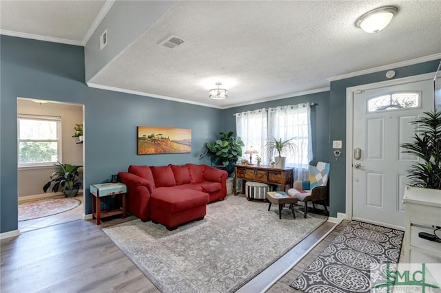 living room with plenty of natural light, a textured ceiling, and ornamental molding