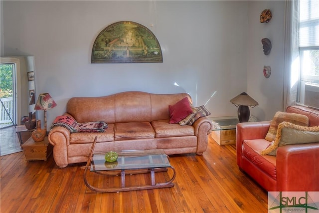 living room with hardwood / wood-style flooring