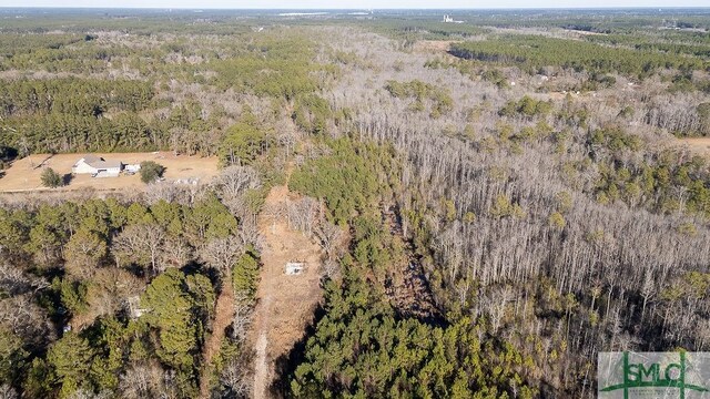 297 Horsepen Rd, Guyton, GA 31312 - photo 3