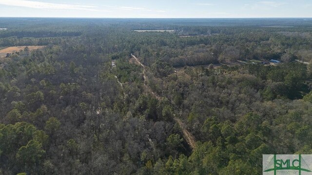 297 Horsepen Rd, Guyton, GA 31312 - photo 4