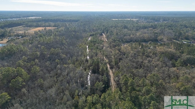 297 Horsepen Rd, Guyton, GA 31312 - photo 5