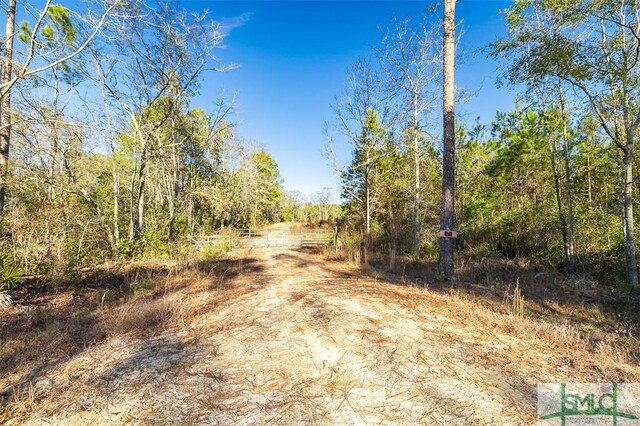 297 Horsepen Rd, Guyton, GA 31312 - photo 6