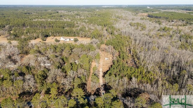 297 Horsepen Rd, Guyton, GA 31312 - photo 7