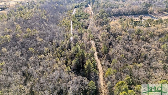 297 Horsepen Rd, Guyton, GA 31312 - photo 9