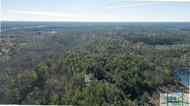 297 Horsepen Rd, Guyton, GA 31312 - photo 11