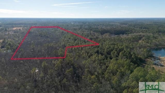 297 Horsepen Rd, Guyton, GA 31312 - photo 12