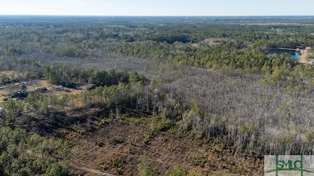 297 Horsepen Rd, Guyton, GA 31312 - photo 13