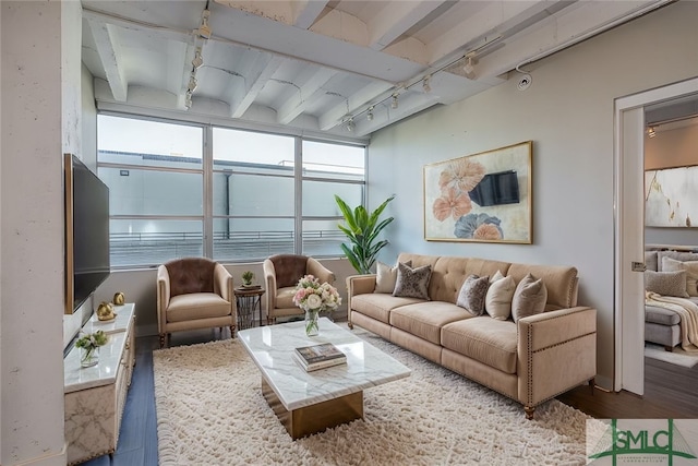 living room featuring plenty of natural light, track lighting, beam ceiling, and hardwood / wood-style floors