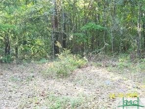 0 Salt Creek Rd, Savannah, GA 31405 - photo 1