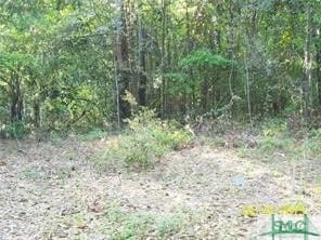 0 Salt Creek Rd, Savannah GA, 31405 land for sale