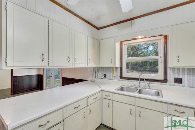 kitchen with sink, white cabinets, and crown molding