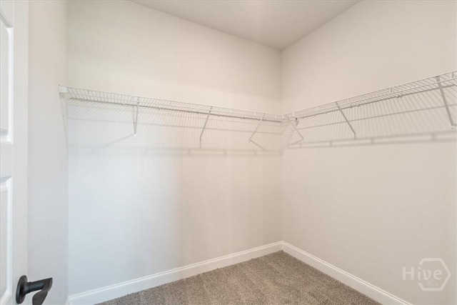 304 Timberlake Dr, Rincon, GA 31312 - walk in closet featuring carpet floors