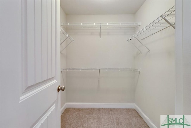 spacious closet with light carpet