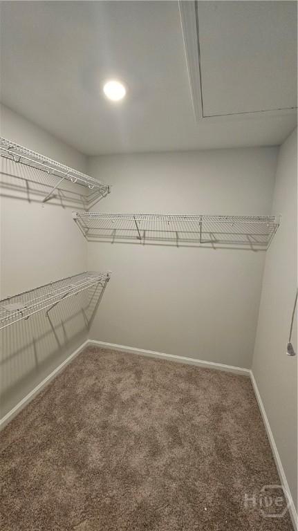 162 Brookline Dr, Savannah, GA 31407 - photo 16