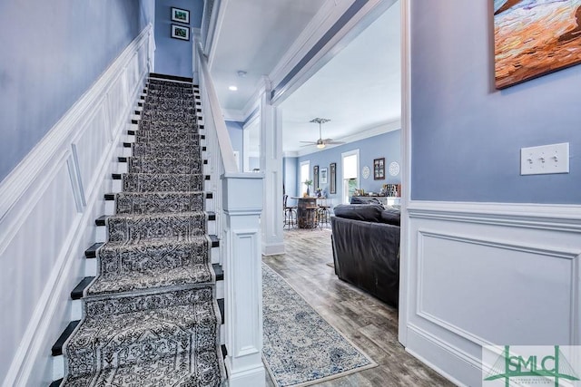 staircase featuring wood-type flooring, ceiling fan, and crown molding