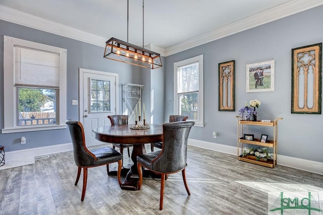 dining area featuring wood-type flooring and crown molding