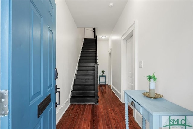 entryway with dark wood-type flooring