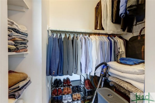 view of walk in closet