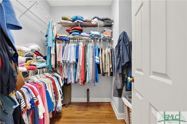 spacious closet with hardwood / wood-style flooring