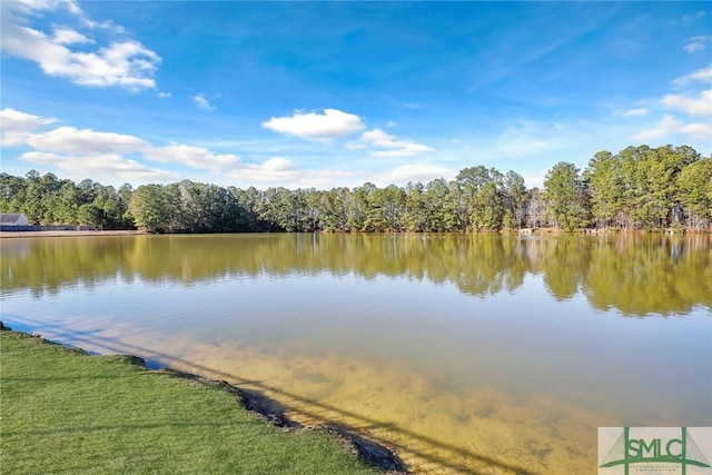 property view of water