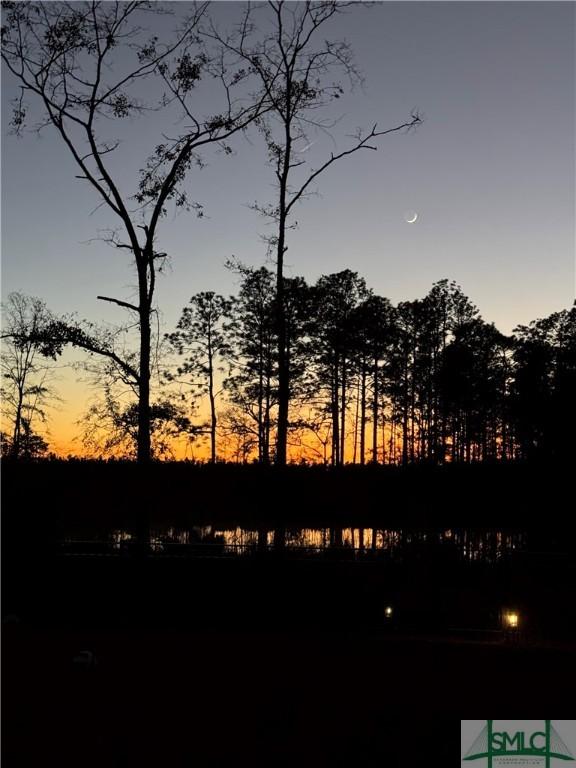 view of nature at dusk