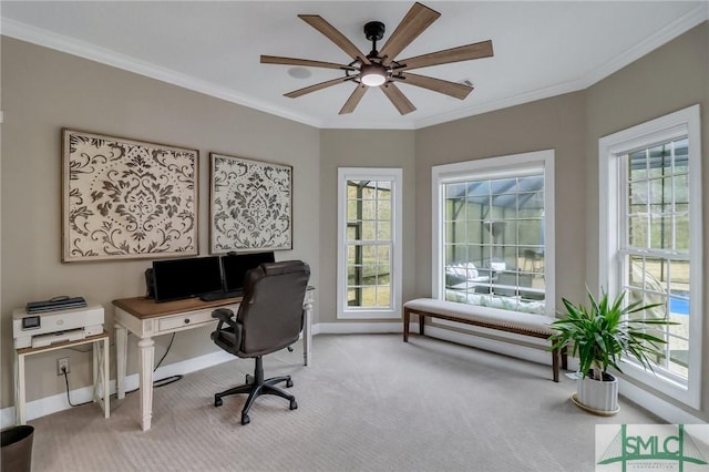 carpeted home office with ceiling fan and crown molding