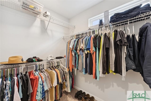 walk in closet featuring carpet floors