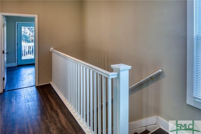 hall featuring dark wood-type flooring