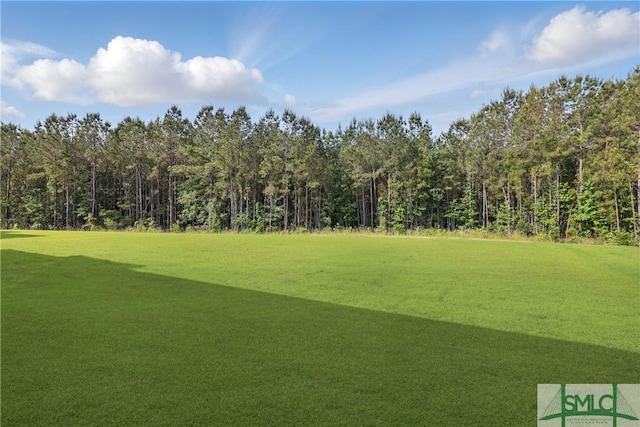 106 Liam Ct, Guyton, GA 31312 - view of yard with a forest view