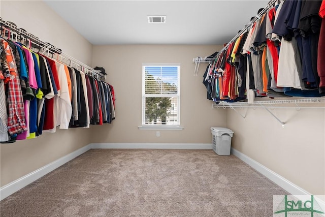 spacious closet featuring light colored carpet