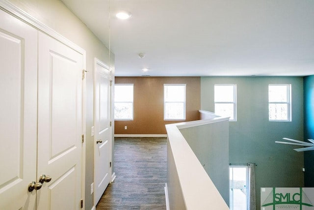 corridor with dark hardwood / wood-style floors