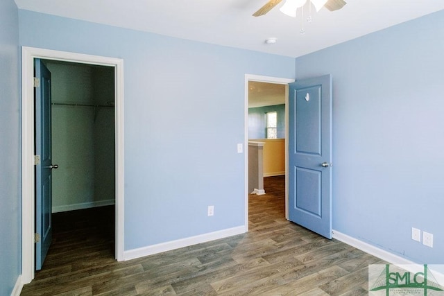 unfurnished bedroom featuring ceiling fan, a walk in closet, a closet, and dark hardwood / wood-style flooring