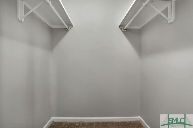 walk in closet with carpet flooring