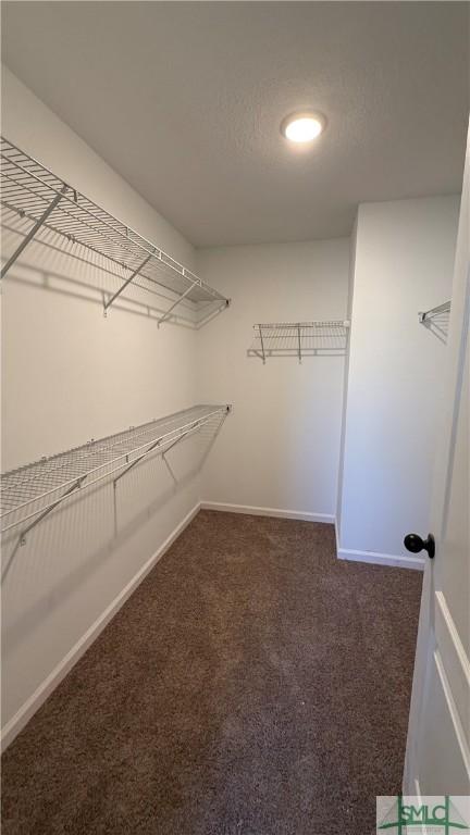 walk in closet with dark carpet