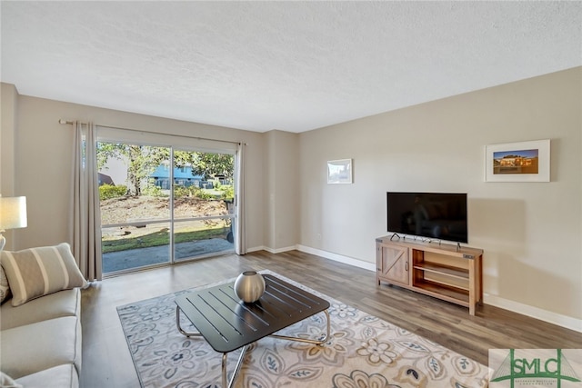 living room with hardwood / wood-style flooring and a textured ceiling