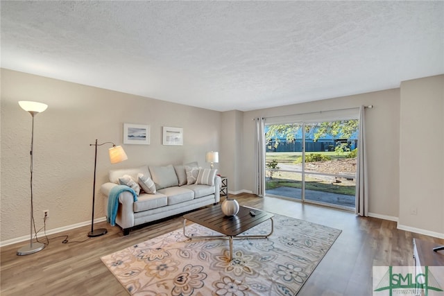 living room with a textured ceiling and wood-type flooring