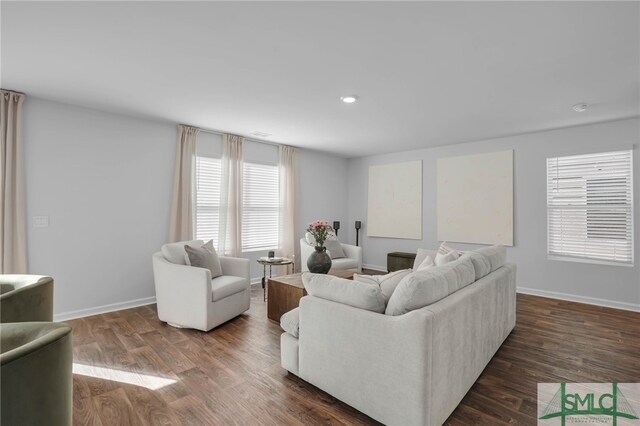 living room featuring dark wood-type flooring