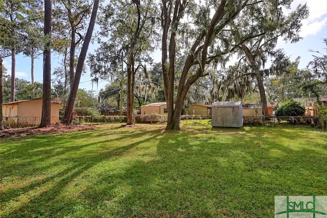 view of yard with a storage shed