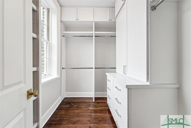 spacious closet with dark wood-type flooring